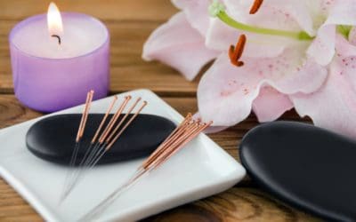 Are You a Wizard? Summer is Your Time to Shine!